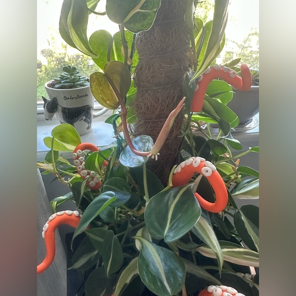 8 Orange Sea Creature Tentacles 🦑Decor Tentacle Unique Modern Indoor Plant - Picture 5 of 7